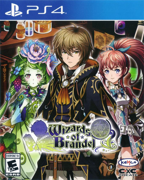 Wizards of Brandel - Sony PlayStation 4 PS4 Video Game