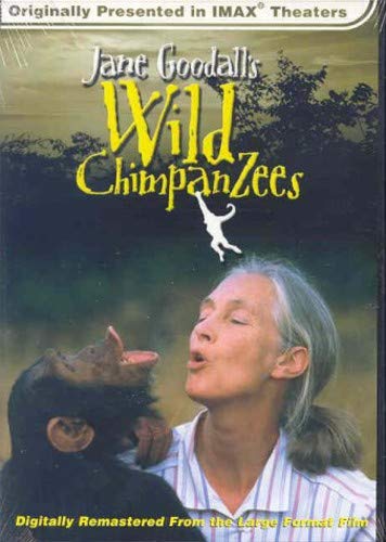 Jane Goodalls Wild Chimpanzees Large Format