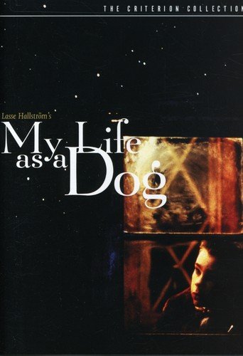 My Life As A Dog The Criterion Collection