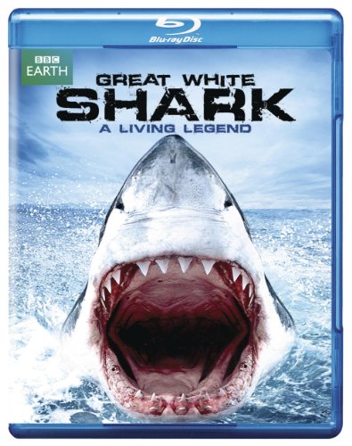 Great White Shark A Living Legend