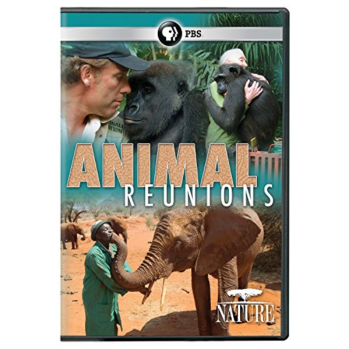 Nature Animal Reunions - Video Vid NTSC Region 1 USA Disk Digital Versatile Disc