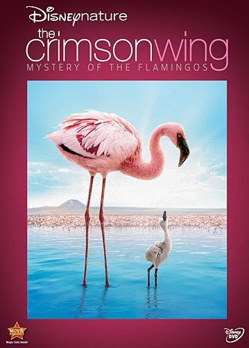 Disneynature The Crimson Wing Mystery Of Flamingos