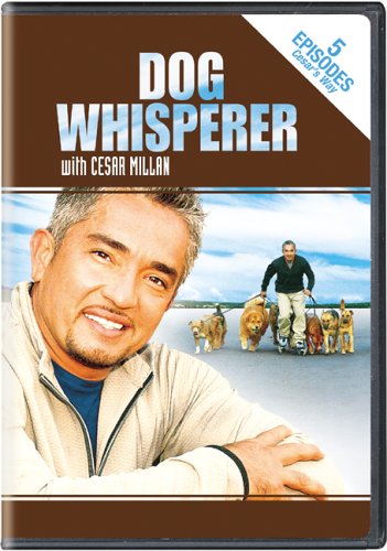 Dog Whisperer With Cesar Millan Stories From Cesars Way