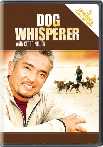 Dog Whisperer With Cesar Millan Aggression