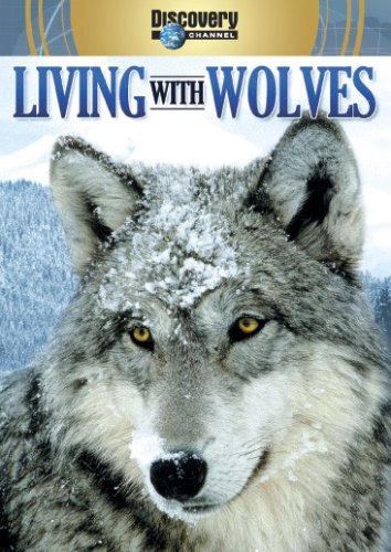 Living With Wolveswolves At Our Door