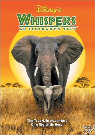Whispers An Elephants Tale