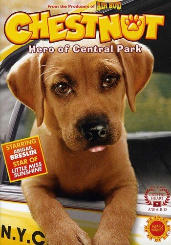 Chestnut Hero Of Central Park