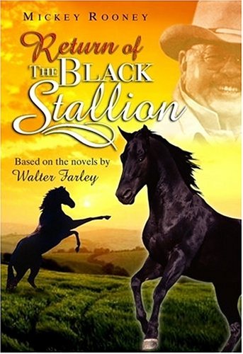 Return Of The Black Stallion Based On The Novels By Walter Farley