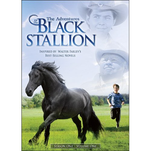 The Adventures Of The Black Stallion. Season One, Volume One.