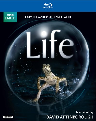 Life (David Attenborough-Narrated Version)