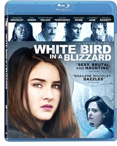 White Bird In A Blizzard