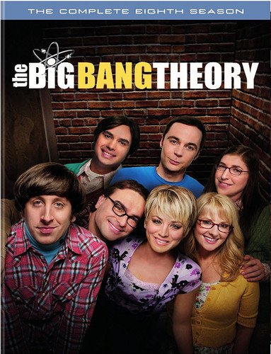 Big Bang Theory: Season 8