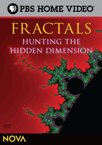 Nova Fractals Hunting The Hidden Dimension