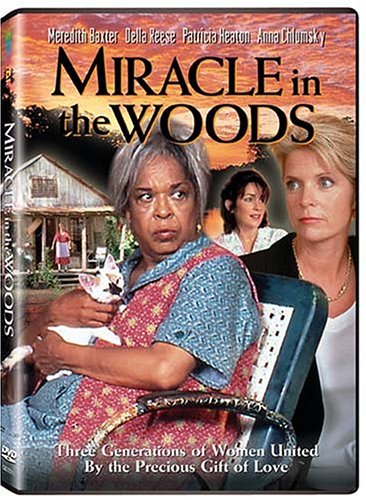 Miracle In The Woods