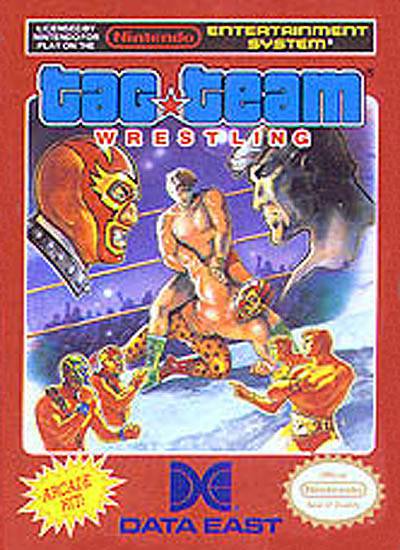 Tag Team Wrestling - Nintendo Entertainment System
